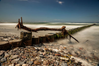 Driftwood on wooden post in sea against sky