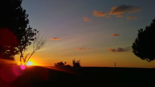 Silhouette trees on field against sky during sunset