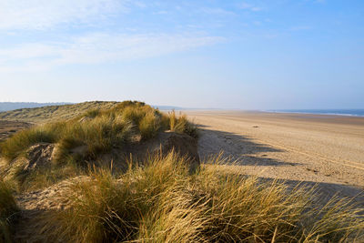 Scenic view of beach against sky