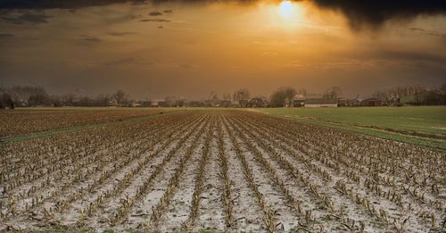 Scenic view of field against sky during sunset