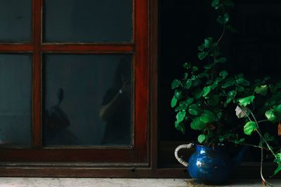 Potted plant on window sill of house