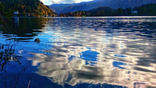 Reflection of trees in lake