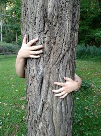 Tree trunk in forest