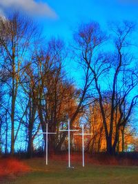 Trees in playground against sky