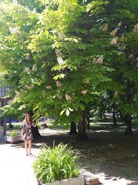 Woman standing by plants