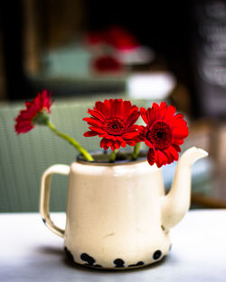 Close-up of fresh red flowers in vase on table