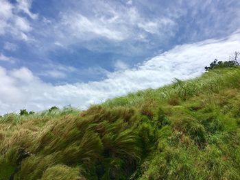 Scenic view of green landscape against blue sky