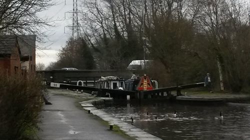 Bare trees by canal