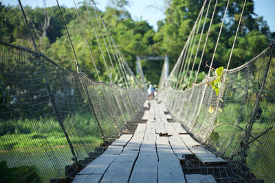 Footbridge over footpath amidst trees