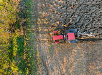 High angle view of plants growing on field