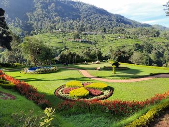 Scenic view of green landscape against sky