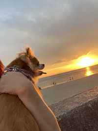 Scenic view of beach against sky during sunset