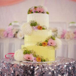 Close-up of chocolate cake