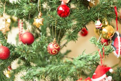 Close-up of christmas decorations hanging on tree