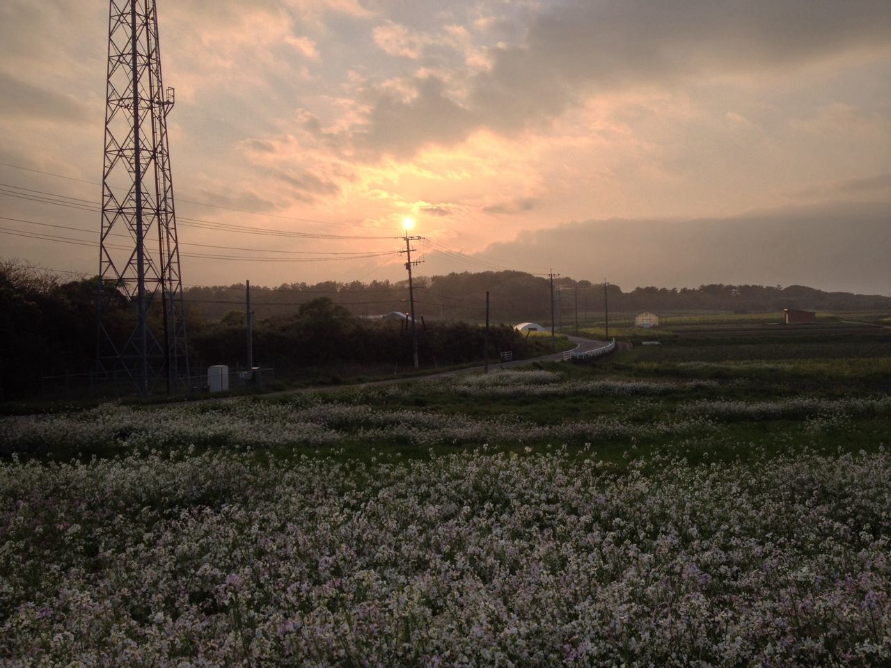 electricity pylon, sunset, landscape, sky, field, power line, electricity, fuel and power generation, power supply, tranquility, tranquil scene, cloud - sky, scenics, nature, grass, beauty in nature, rural scene, orange color, connection, technology