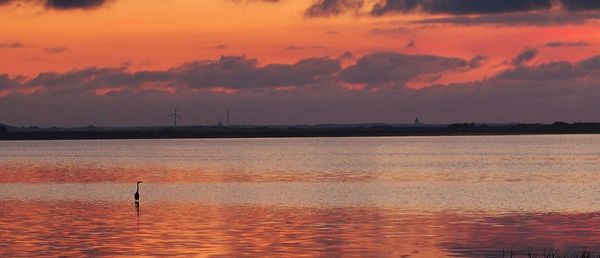 Scenic view of sea at sunset