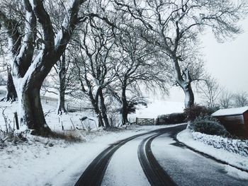 Road amidst bare trees during winter