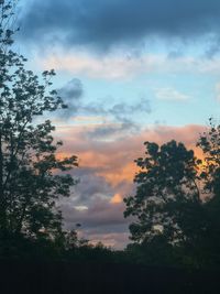 Low angle view of silhouette trees against sky during sunset