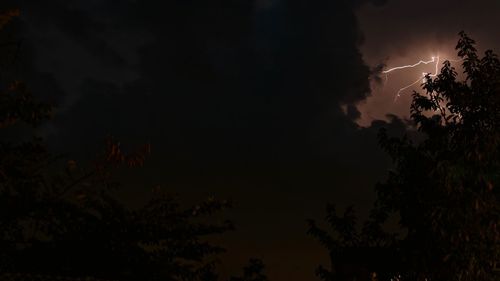 Low angle view of silhouette trees against sky at night