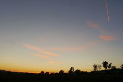 Silhouette trees on field against sky at sunset