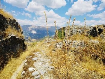 Scenic view of land against sky