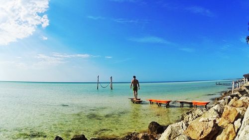 Rear view of man standing on beach against blue sky