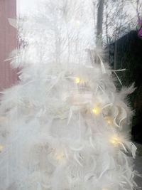 Close-up of tree during winter