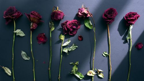 Close-up of rose bouquet