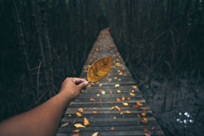 Cropped image of person holding autumn leaf