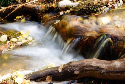 Scenic view of waterfall