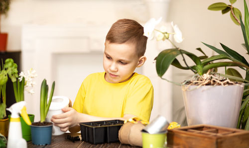 Portrait of cute boy using mobile phone at home