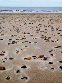 Surface level of beach against sky