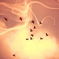 flying