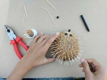 Hands holding coconut with toothpicks on table