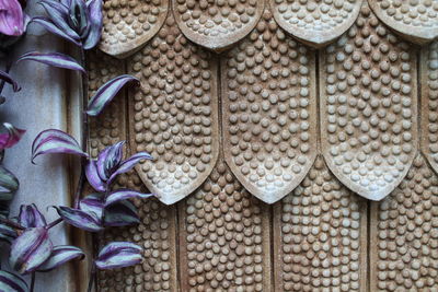 Close-up of plant growing against patterned wall