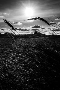 Scenic view of field against sky at sunset