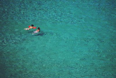 High angle view of men swimming in sea