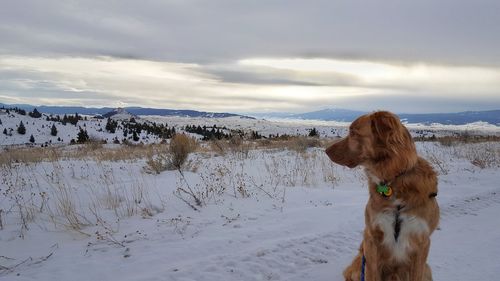 Man standing on beach against sky
