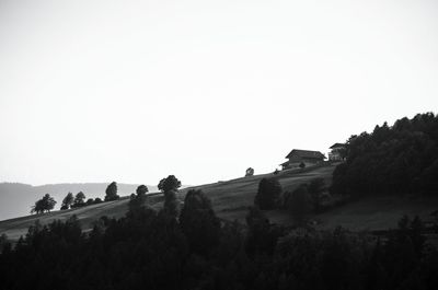 Panoramic view of trees against clear sky