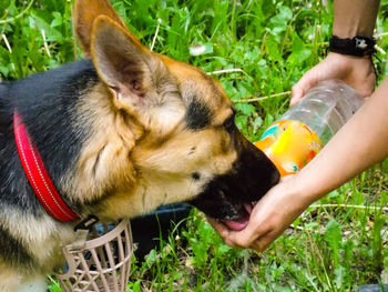 Man holding a dog