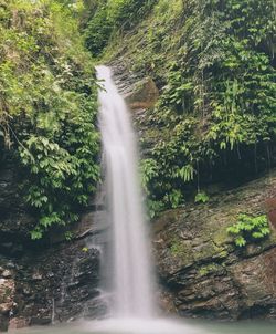 Scenic view of waterfall in forest