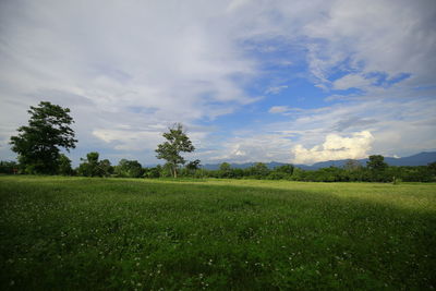 Scenic view of field against sky