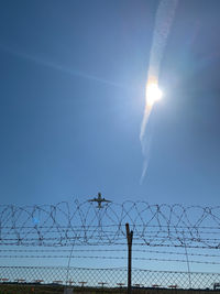 Birds flying over chainlink fence against blue sky