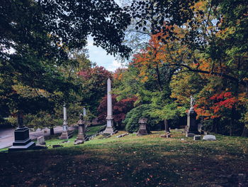 Trees in cemetery during autumn