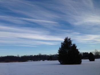 Scenic view of snow covered landscape