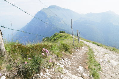 Scenic view of grassy field by mountains against sky