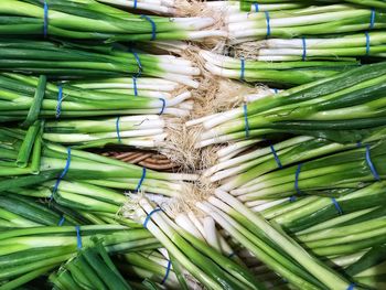 High angle view of vegetables in market