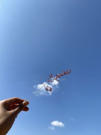 Low angle view of person paragliding against blue sky