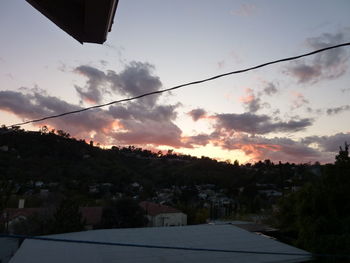 Trees at sunset