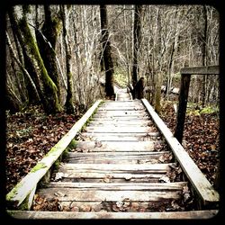 Footbridge in forest